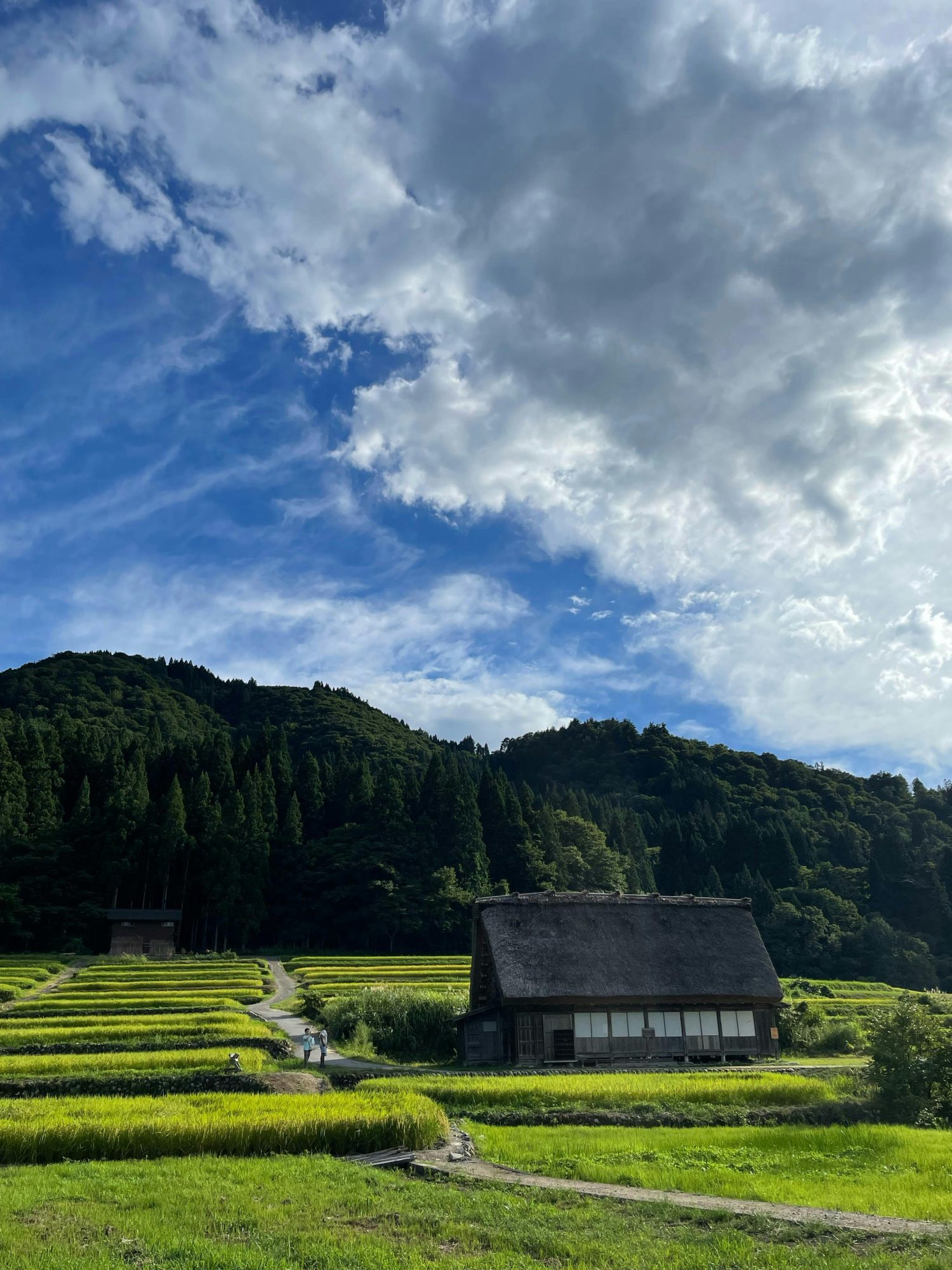 Questi luoghi segreti dove il lusso viaggia in incognito 6 Le Kansai rural Japon — lart du silence maitrise Ces lieux secrets ou le luxe voyage incognito Modalova