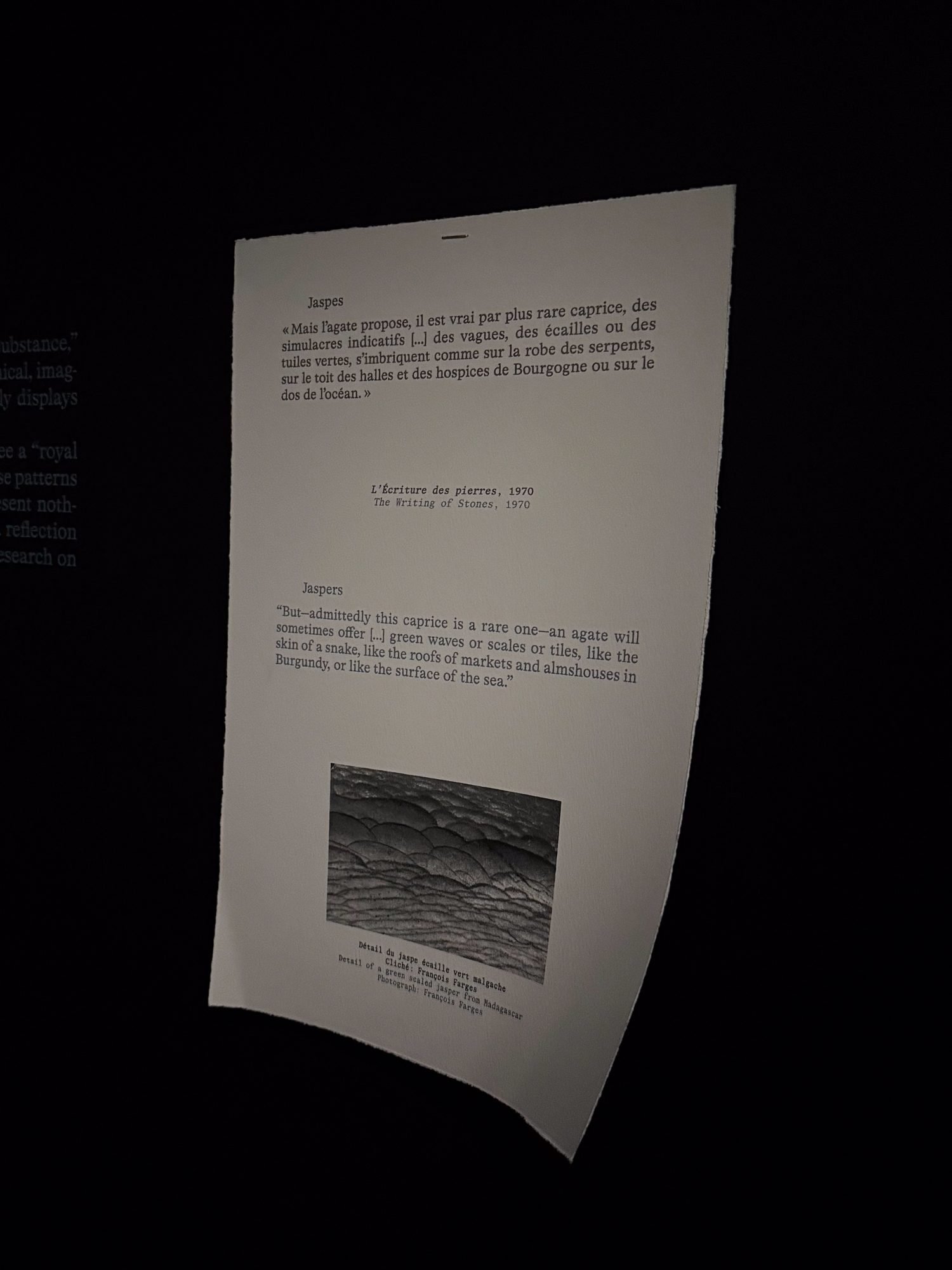 Testo jaspes Roger Caillois expo Rêveries de Pierres