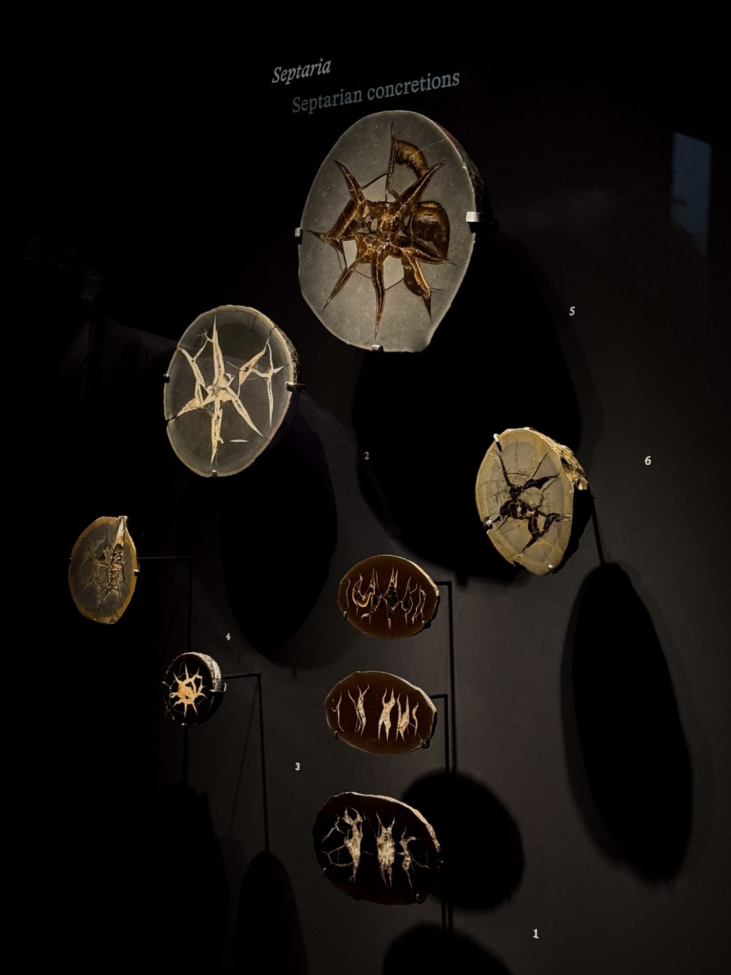 Septaria minerali esposizione Rêveries de Pierres Ecole des Arts Joailliers