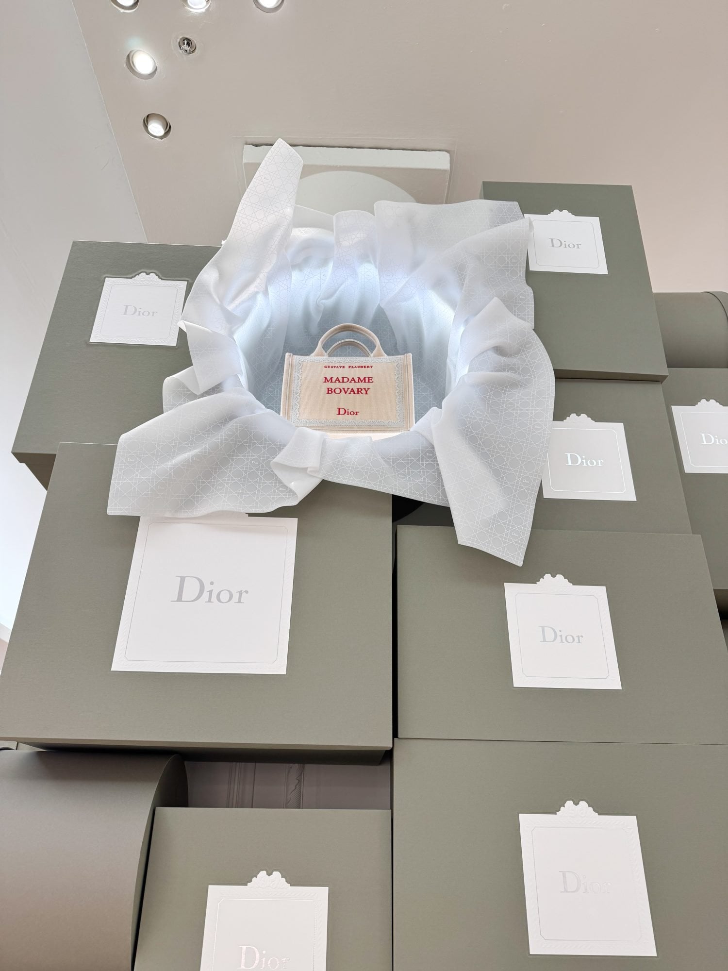 Ultimi giorni per scoprire il pop-up Dior al Bon Marché 5 Dior Book Tote pop-up Le Bon Marché foto Pauline PINOT